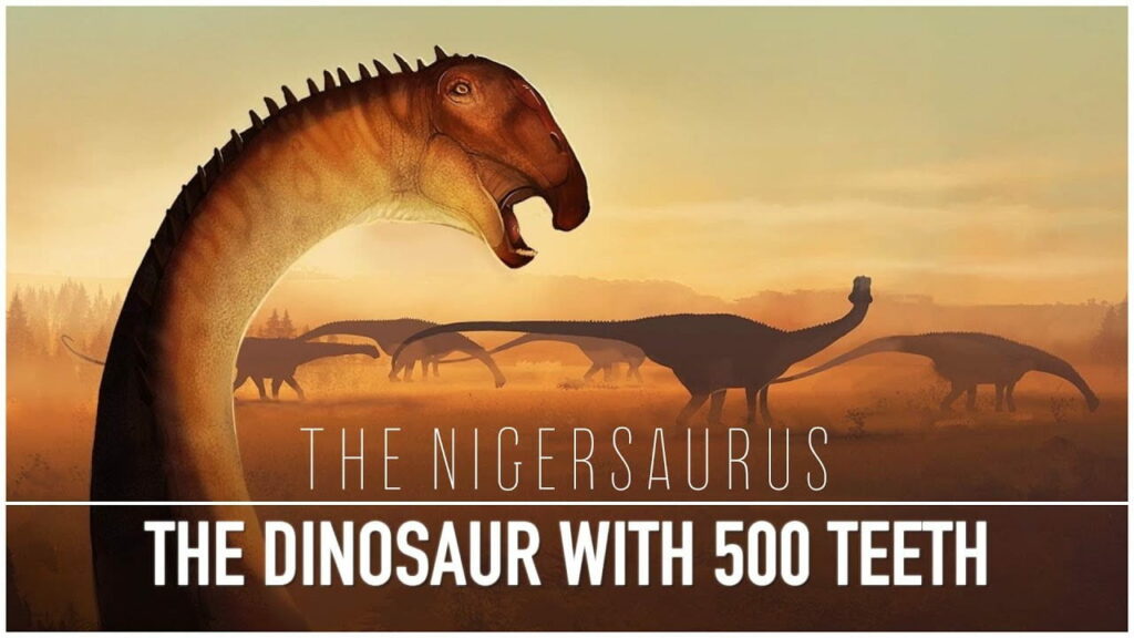 The Discovery Of Nigersaurus
