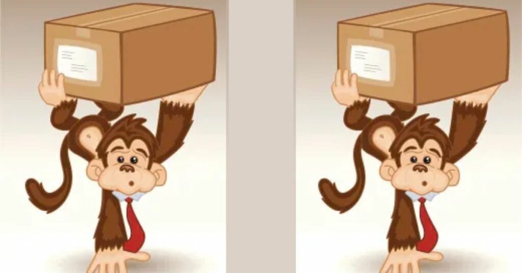 The Unconventional Monkey Holding a Box