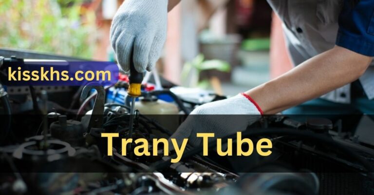 Trany Tube – Discover It!